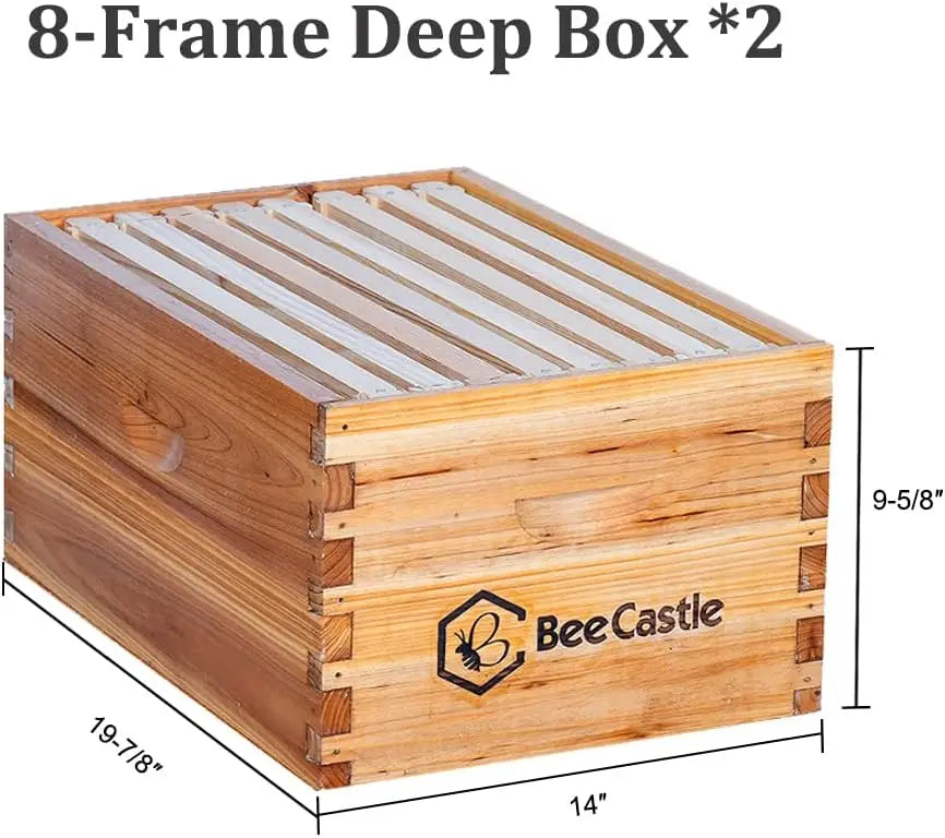 8 Frame Langstroth Bee Hive Coated with Beeswax