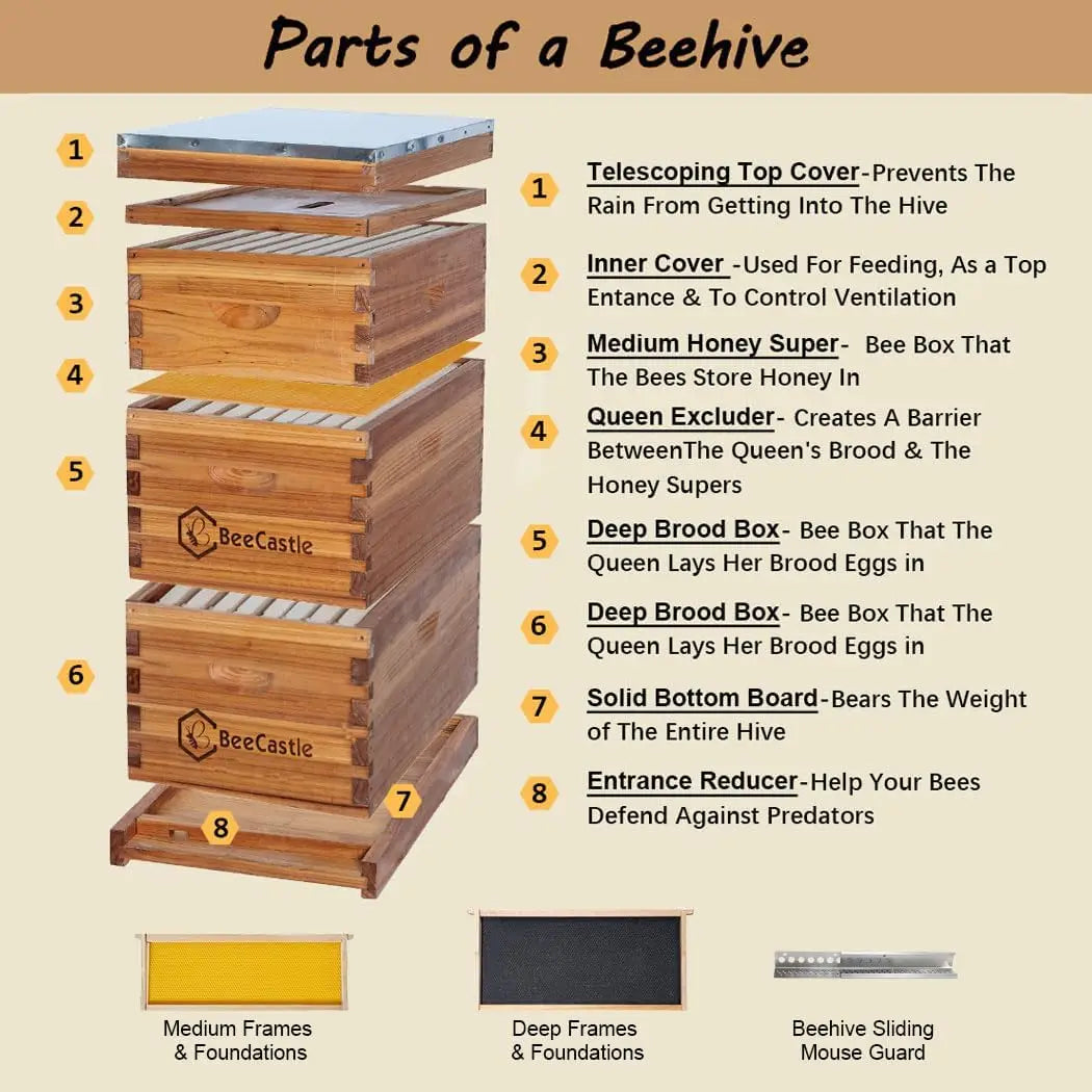 8 Frame Langstroth Bee Hive Coated with Beeswax