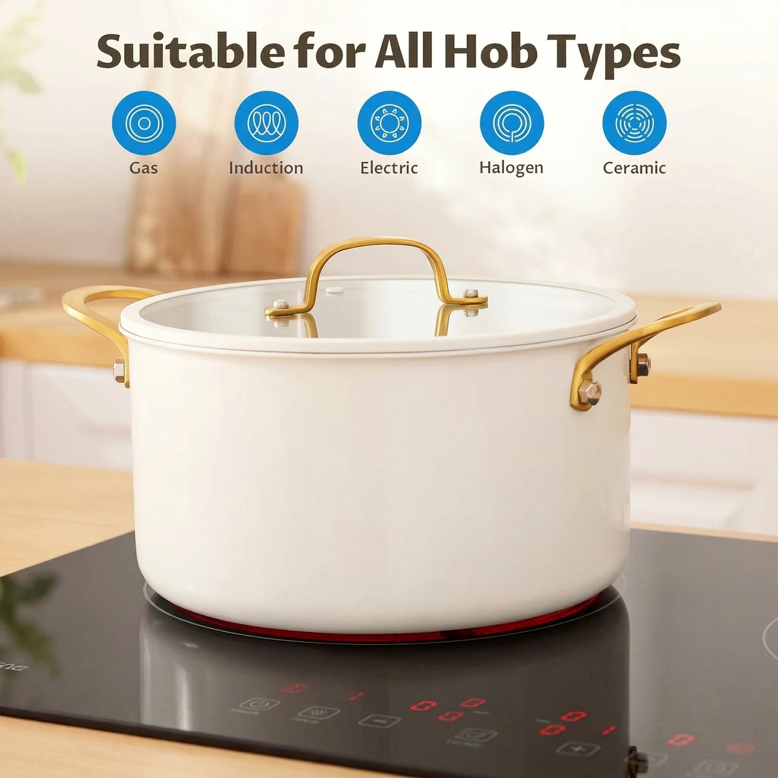 Triply stainless steel Stock Pot with Lid