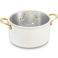 Triply stainless steel Stock Pot with Lid