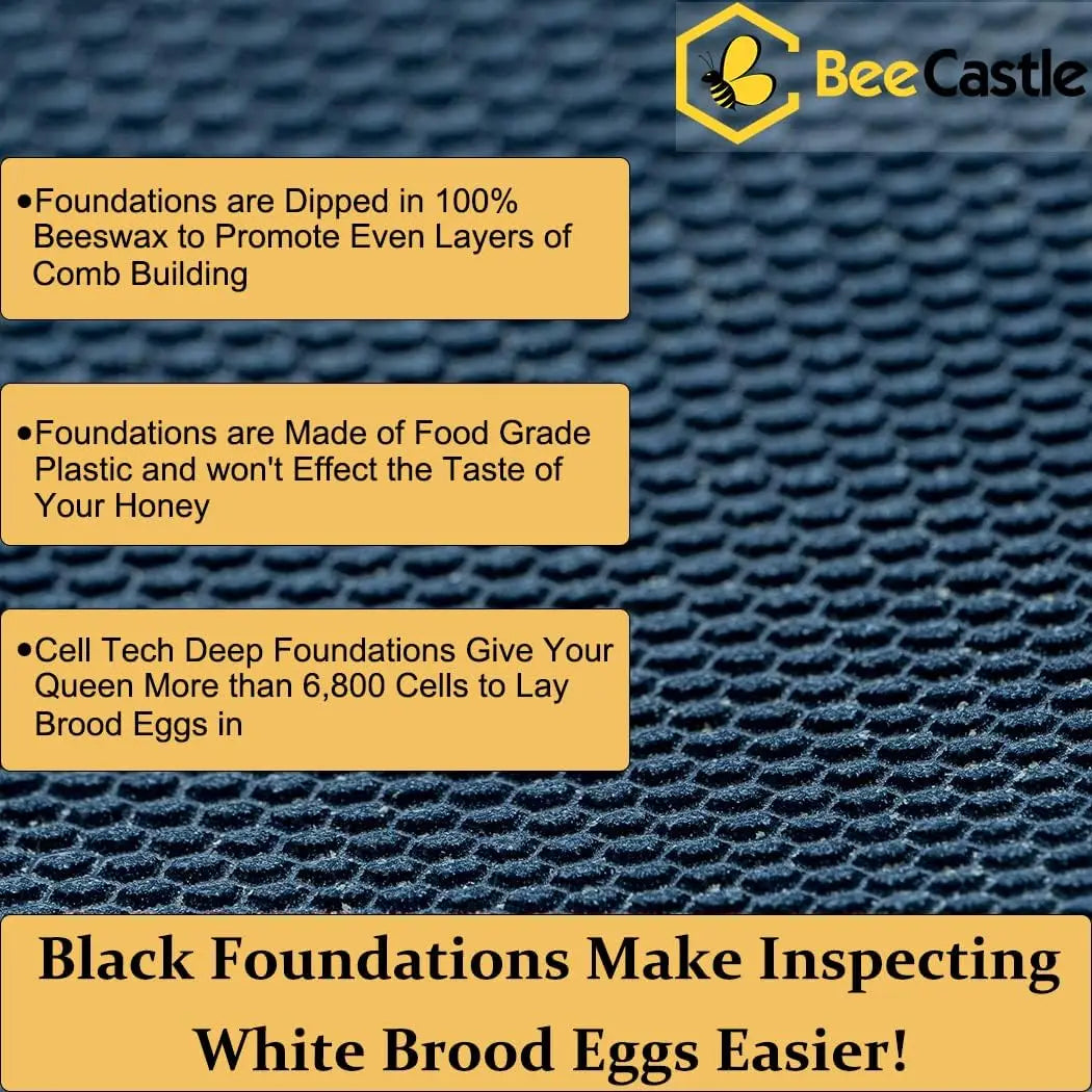 8 Frame Langstroth Bee Hive Coated with Beeswax